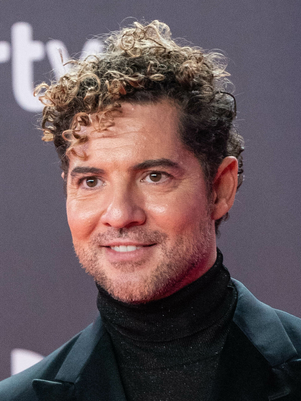 Imagem de referência de David Bisbal, descrito nos dados abertos como cantor espanhol