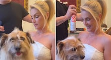 Clima de romance! Ana Hickmann se declara a Edu Guedes em ensaio fotográfico: ‘Me faz sorrir todos os dias’