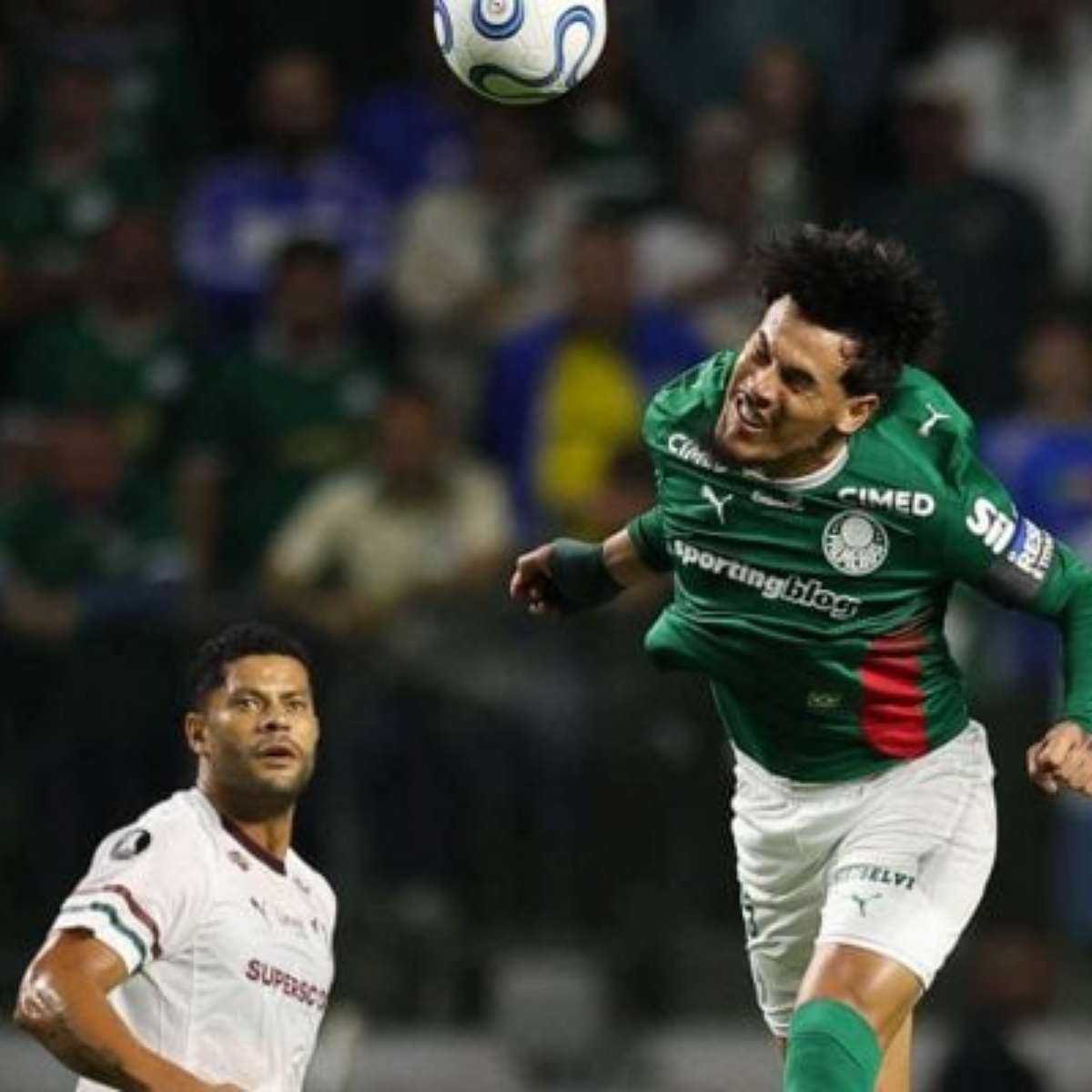 Gómez comemora 4ª final da Libertadores pelo Palmeiras: "Muito grato"