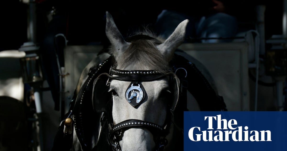 O conselho municipal de Nova York vota banir passeios de carruagem puxadas por cavalos.