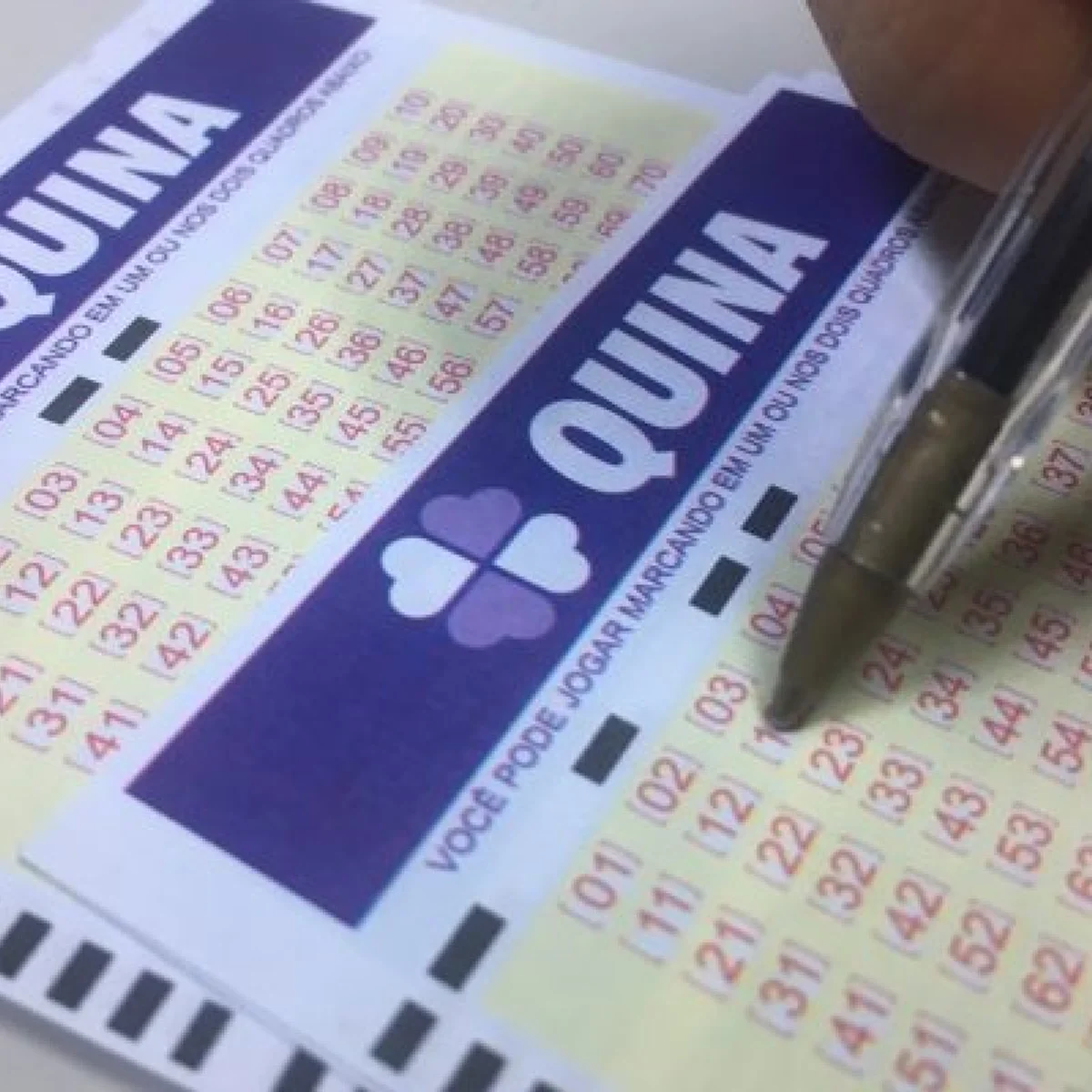Quina 7139 acumula, e prêmio vai a R$ 32 milhões. Veja resultado