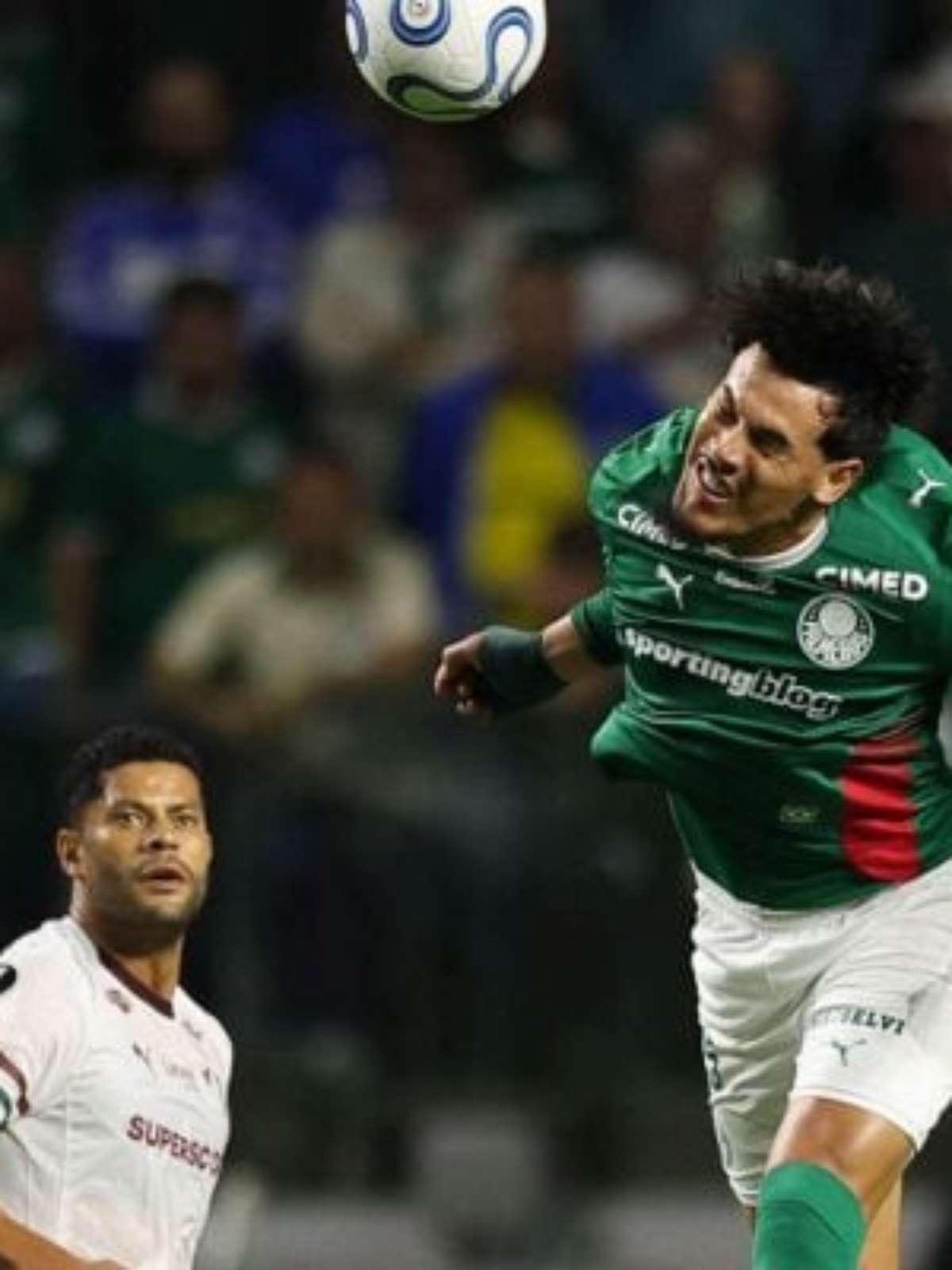 Gómez comemora 4ª final da Libertadores pelo Palmeiras: "Muito grato"