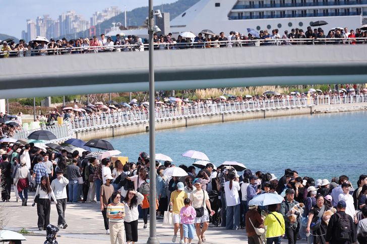 Citizens gather at the waterfront park to catch a glimpse of 'Bukang-i,' a shark lingering in the channel, Dong-gu, Busan, Oct. 4. Yonhap