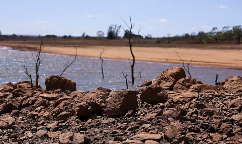 Ministério da Agricultura cria página para orientar agro sobre riscos do El Niño