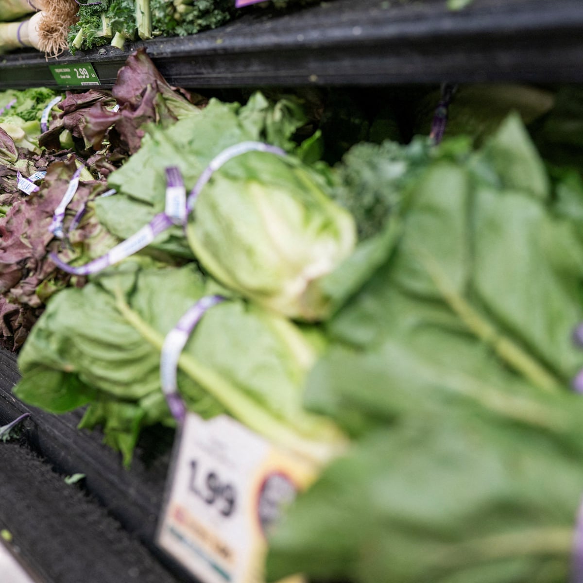 Trump é culpado por americanos terem diarreia explosiva?