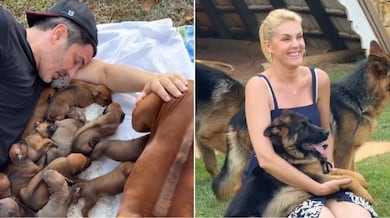 Clima de romance! Ana Hickmann se declara a Edu Guedes em ensaio fotográfico: ‘Me faz sorrir todos os dias’